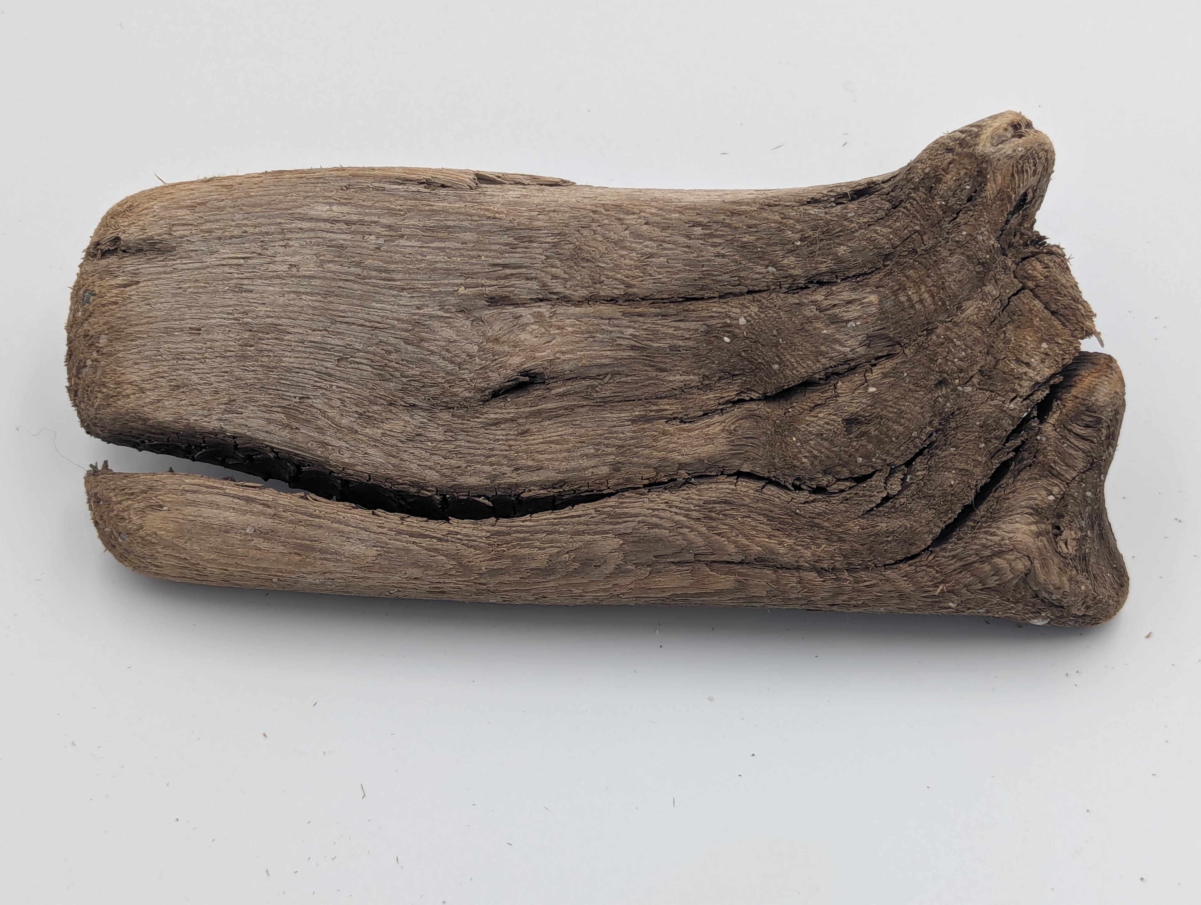 Driftwood Whale