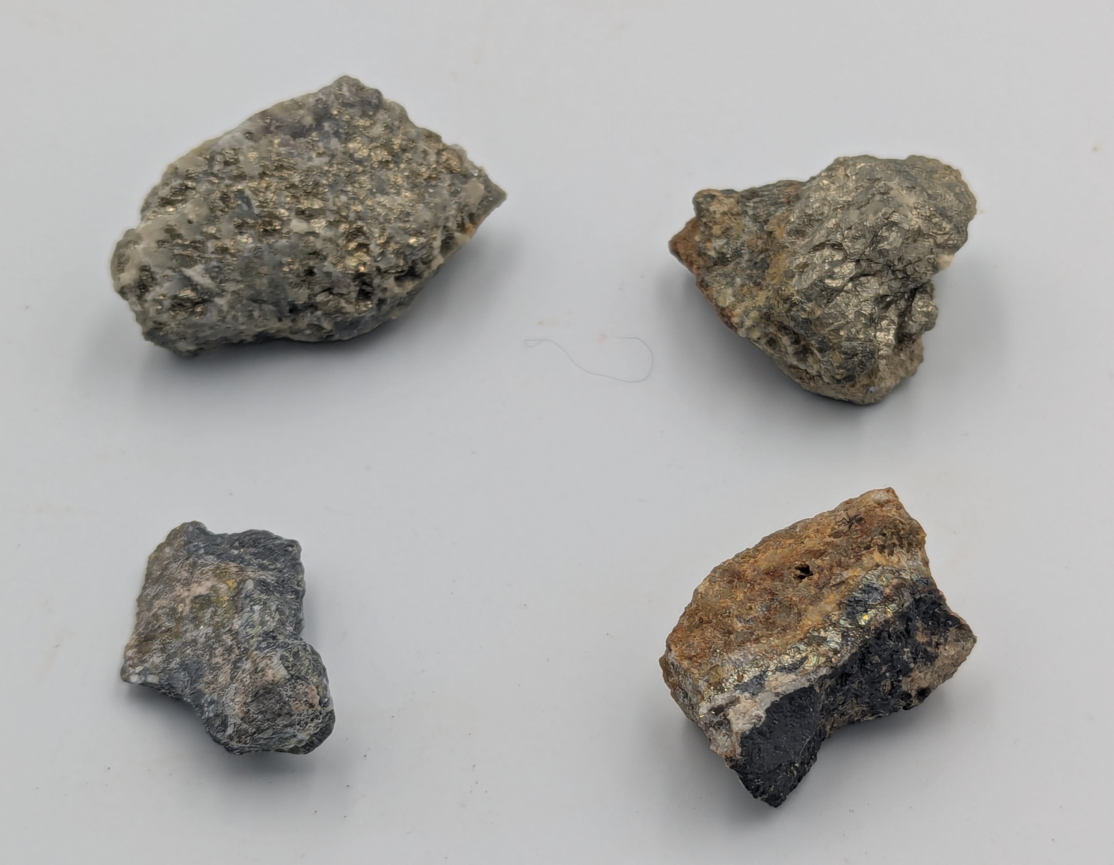 These samples have iron pyrite embedded in a stone matrix.