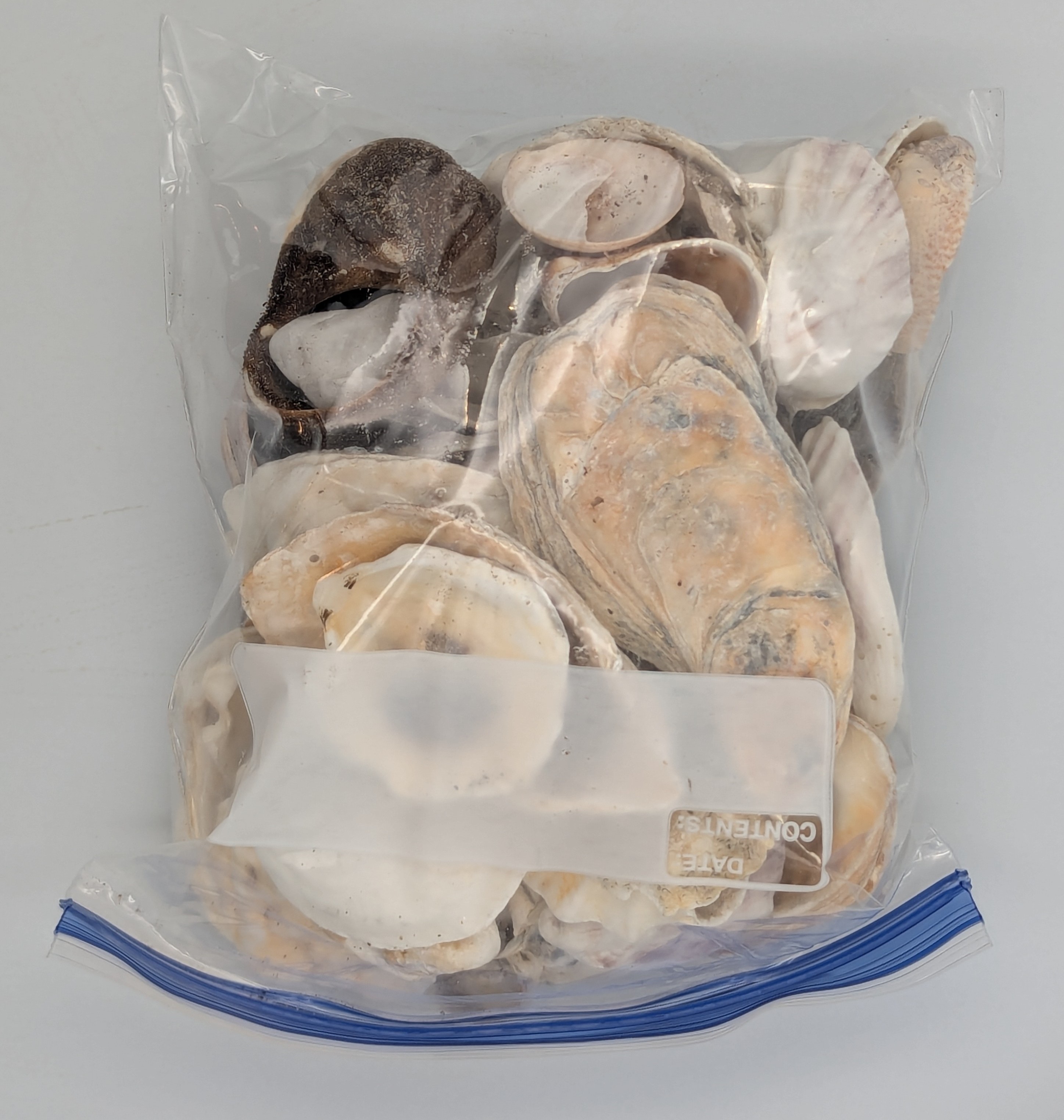 There are a few other shell types in the mix.