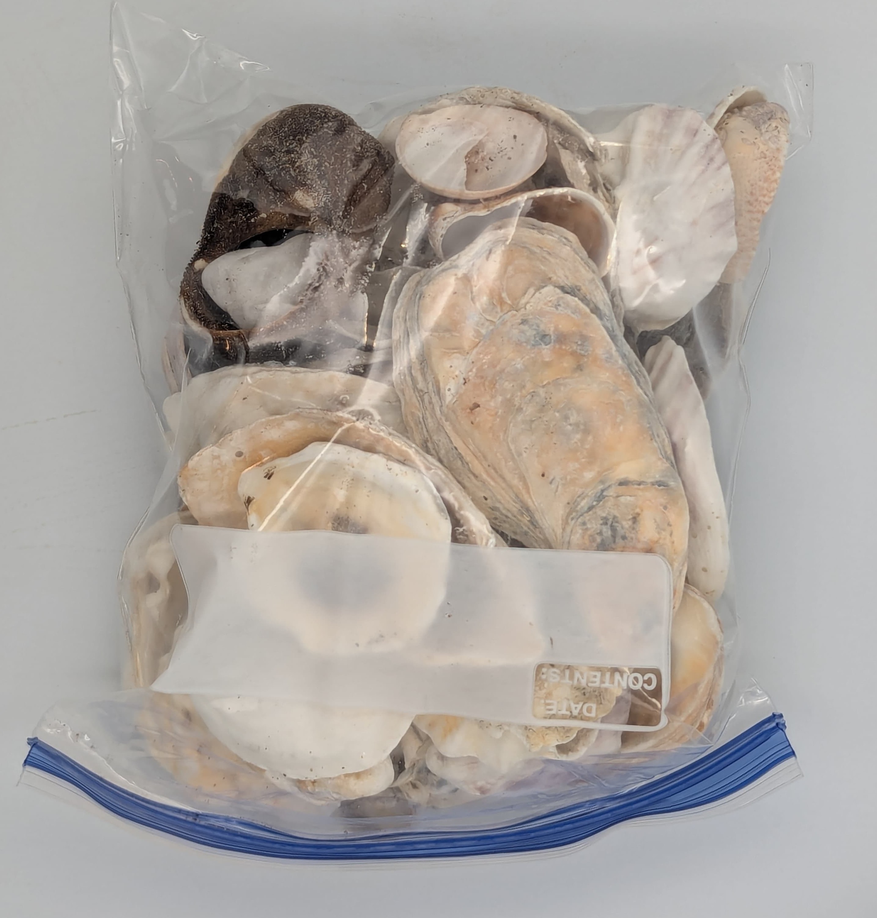 Yup it is a blue fishing lure.