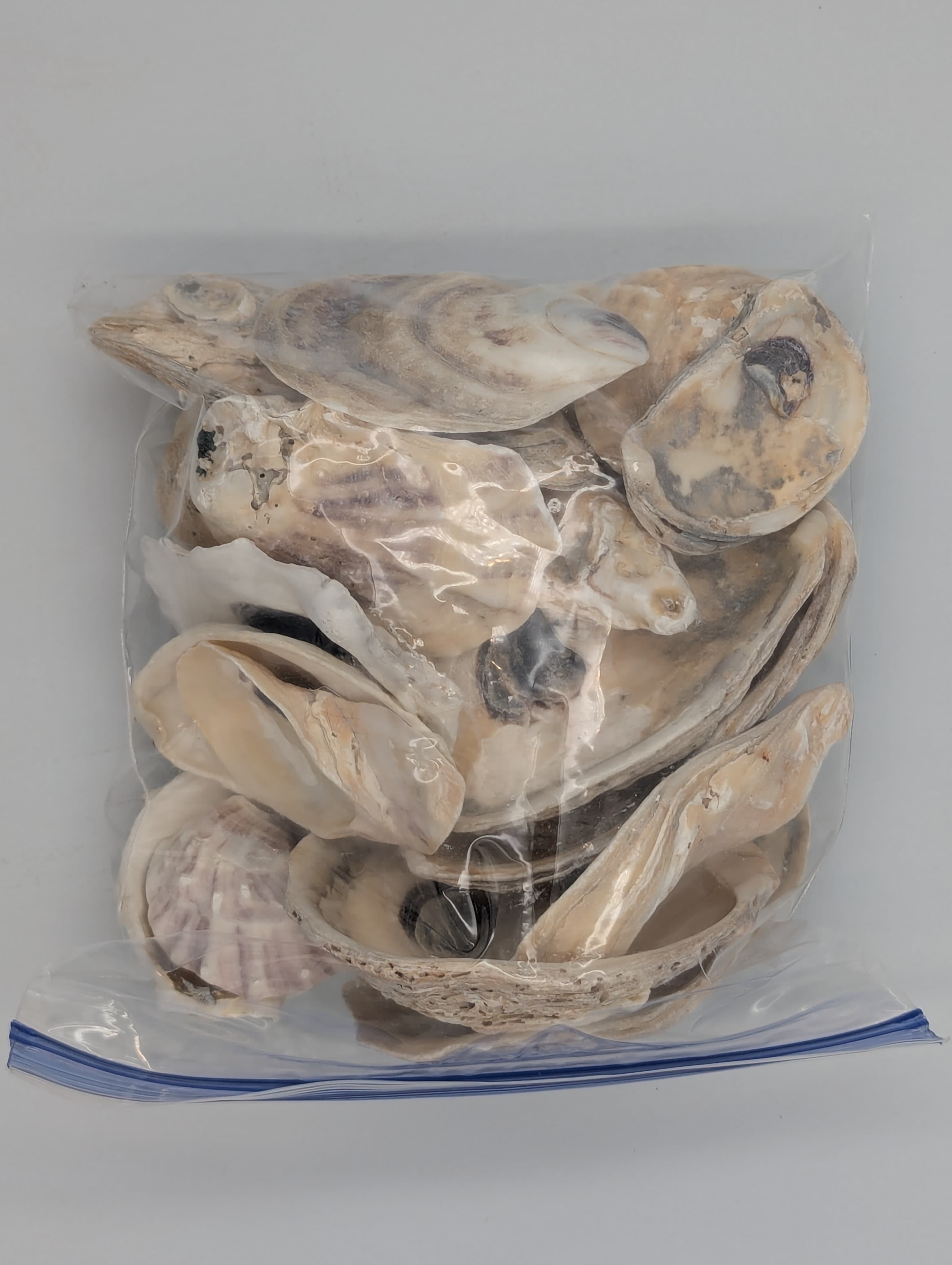 Mostly oyster shells.