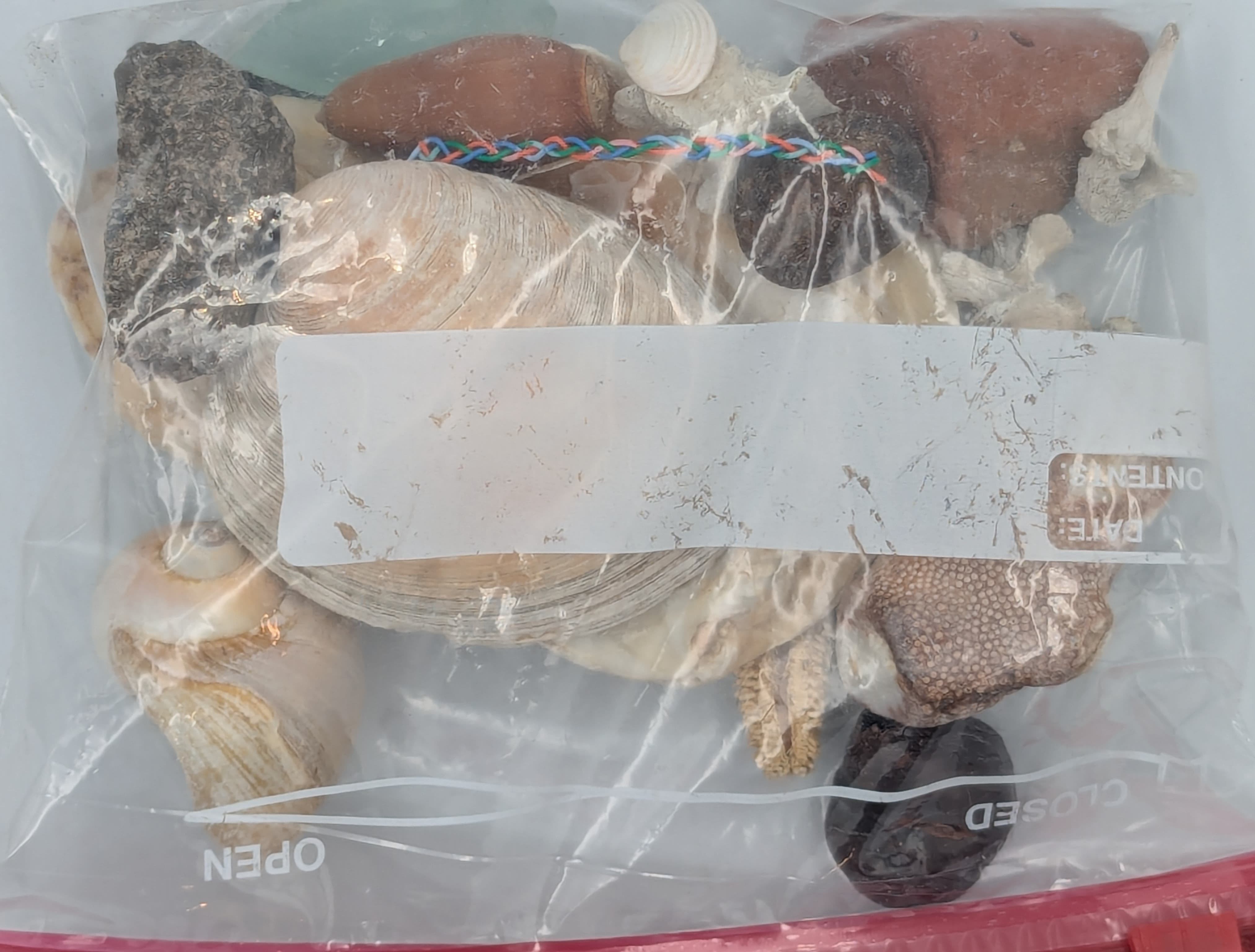 ... fixh bones, starfish arm, and some sea glass.