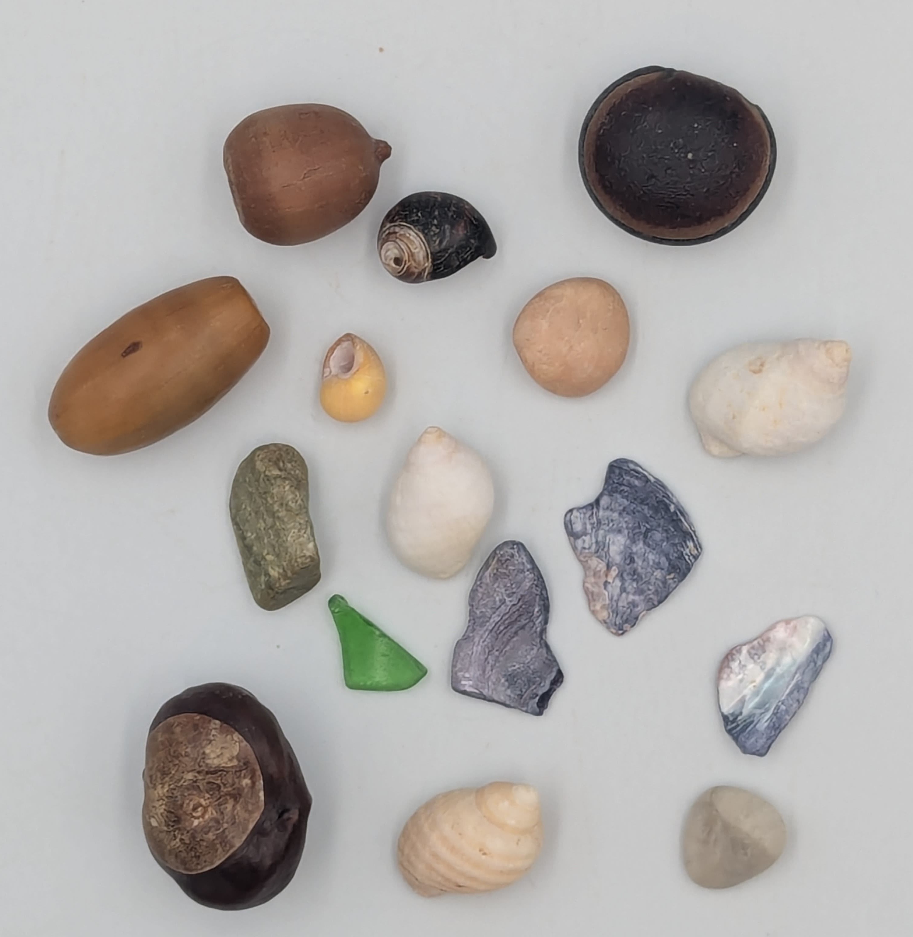 Shells, pebbles, sea glass, and acorns.