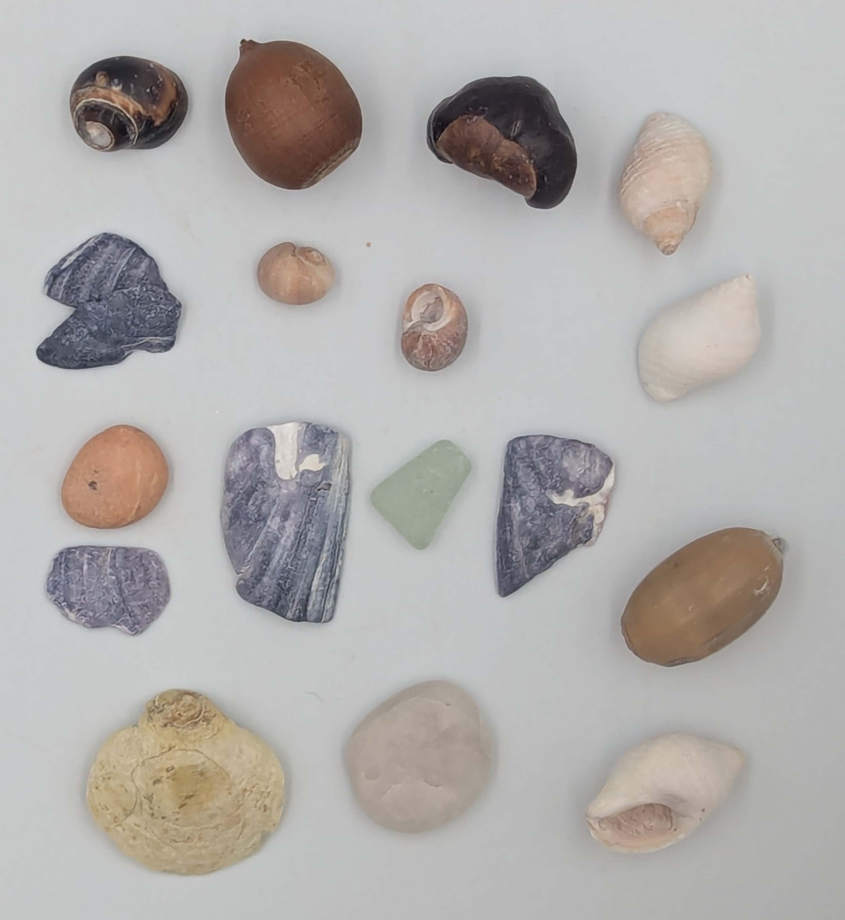 Shells, pebbles, sea glass, and acorns.