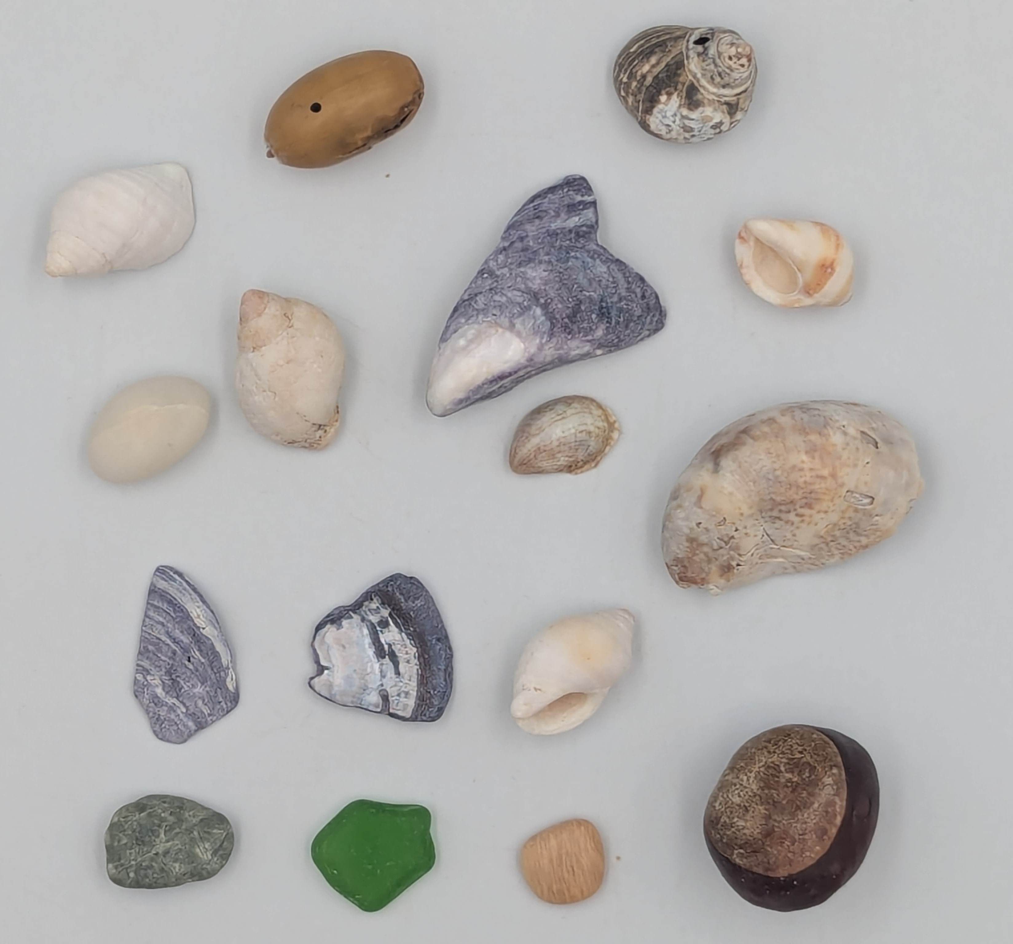 Shells, pebbles, sea glass, and acorns.